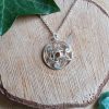 Zilveren Amulet 'Stroming van het Leven'